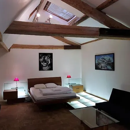 Grande Maison Familiale Avec Piscine Couverte 別荘