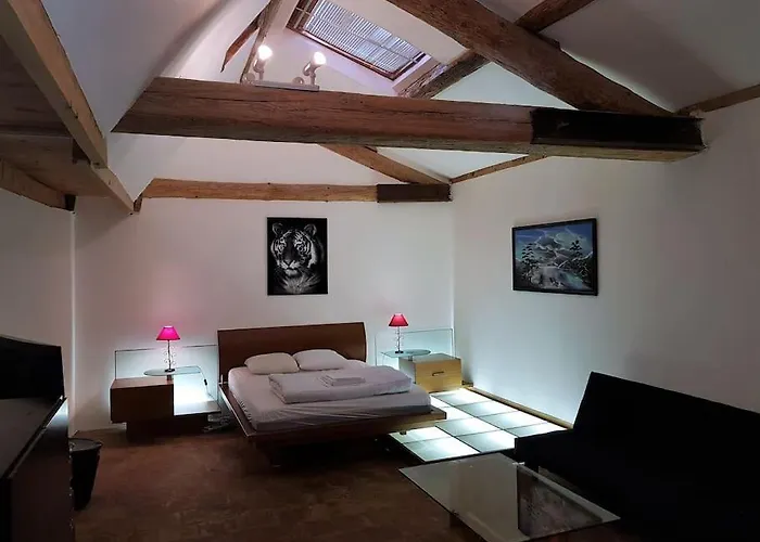 Grande Maison Familiale Avec Piscine Couverte Vakantiehuis